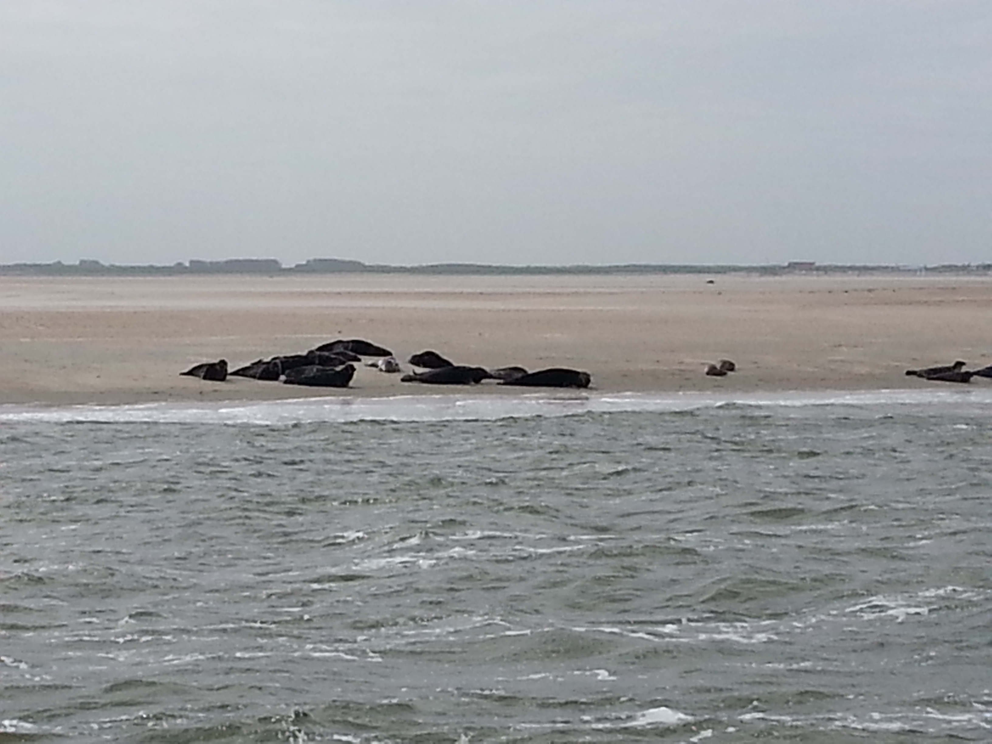HWK Texel 120.jpg